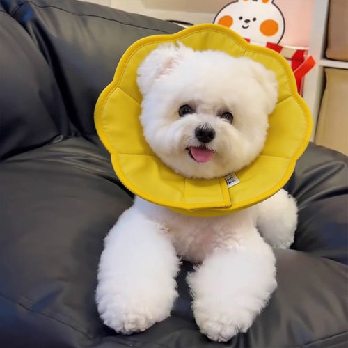 伊丽莎白圈防舔狗狗小型犬舒适圈宠物比熊黄色可调节魔术贴狗脖圈