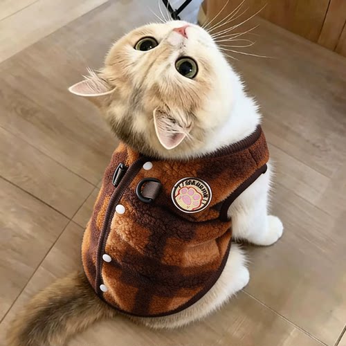猫咪衣服美短猫布偶猫保暖冬季高颜值防掉毛冬装居家休闲加绒加厚