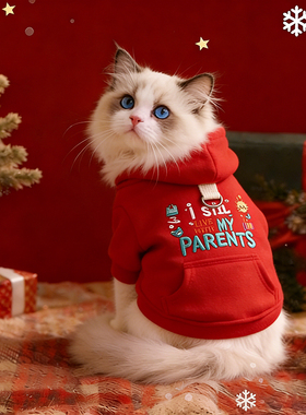 猫咪衣服德文猫冬装小猫红色新年可牵引拜年卫衣棉衣按扣式厚外套