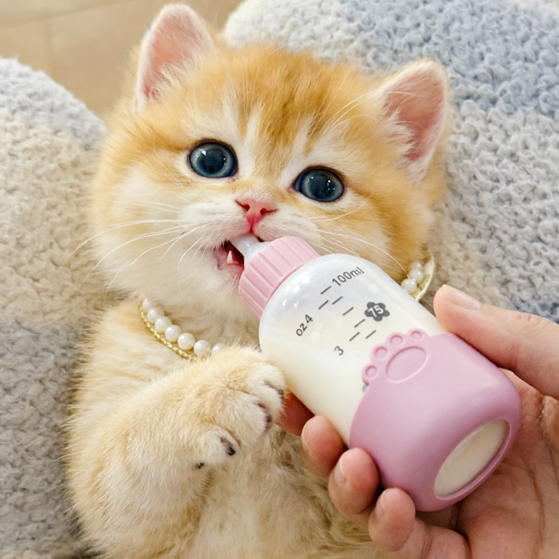 小奶猫专用奶瓶猫咪喂奶喂水喂猫金渐层小猫幼宠喝奶大容量喂食器图片
