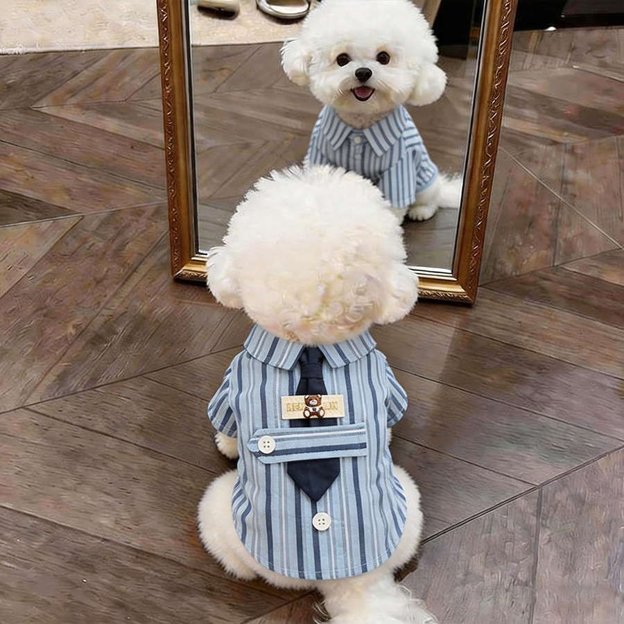 狗狗夏天薄款衣服春季小型犬春夏比熊条纹领带两脚衬衫高颜值泰迪
