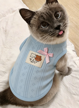 暹罗猫衣服幼猫夏季薄款背心防掉毛猫咪针织蓝色卡通印花蝴蝶结衫