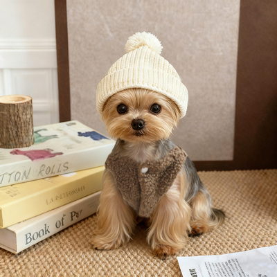 狗狗衣服2025新款冬小型犬泰迪博美毛线帽马甲冬季防着凉加厚毛衣