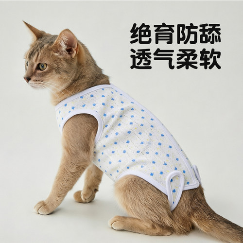 猫咪绝育服母猫绝育术后服小猫魔术贴狸花猫薄款可调节居家断奶服