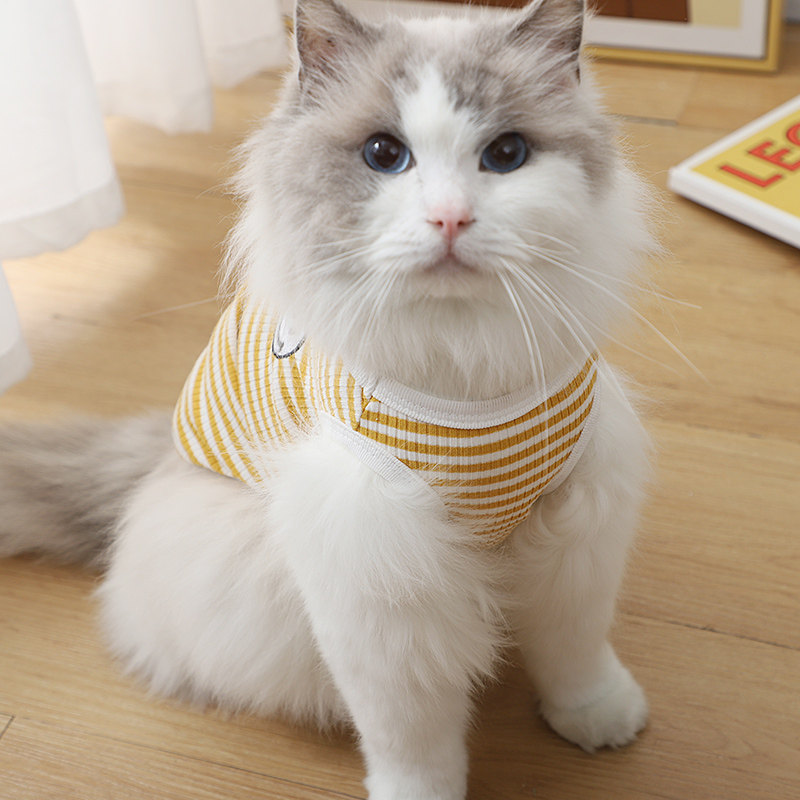 幼猫衣服可爱笑脸贴标条纹背心布偶蓝猫春夏季轻薄款防脏宠物用品