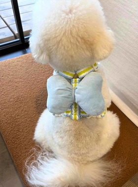 狗狗牵引绳中小型犬可调节遛狗绳清新蓝色蝴蝶结胸背带比熊防挣脱