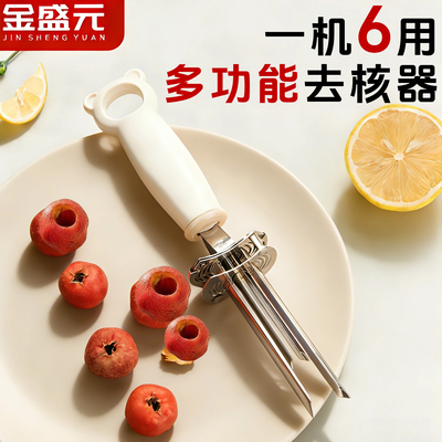 不锈钢多功能去核取芯神器
