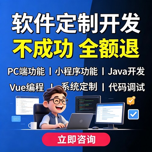 软件开发定制java小程序部署bug解决商城代码开发网站建设