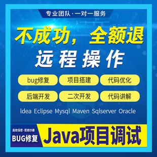 调试bug报错修改idea系统部署答疑指导讲解功能开发定制 java代码