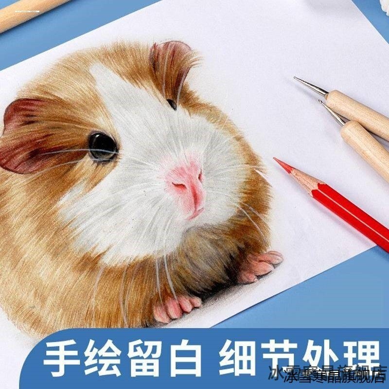 彩铅钻笔留白点花笔素描