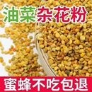 蜜蜂饲料喂蜂花粉颗粒状养蜂中意蜂专用花粉天然油菜杂粉末养蜂粮