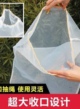 蜂蜜过滤网压蜜机尼绒滤网筛漏斗中蜂用品圆形滤网果汁过滤沙布