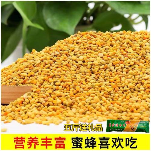 新鲜油菜花粉中意蜂专用喂蜂养蜂天然正品杂花粉颗粒蜂粮蜜蜂饲料