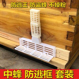 中蜂防逃框蜜蜂防盗器防蜂王飞逃王笼隔王片防意蜂盗中蜂蜂箱巢门
