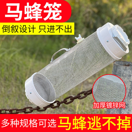 活捉马蜂倒叙只进不出