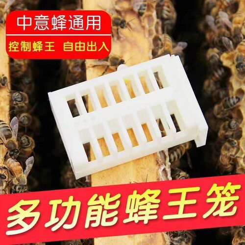 养蜂工具多功能王笼中蜂中意蜂蜜蜂囚王笼防跑片防逃器蜂箱配包邮 - 封面