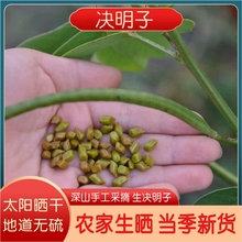 决明子500g草明子可做枕芯农家干货菊花枸杞茶煮泡水新鲜生决明子