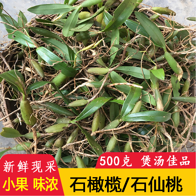 石橄榄新鲜小号石仙桃500g双叶小果整棵带根滋补药材广东煲汤材料