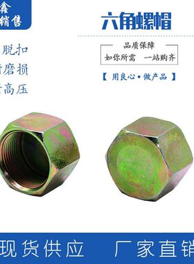 高压闷头公制堵冒母油内螺纹