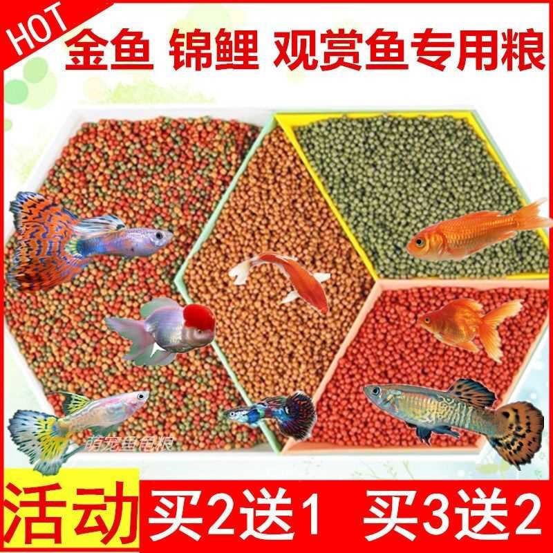 鱼食颗粒通用金鱼饲料锦鲤鱼食粮小型观赏鱼粮食大中小颗粒鱼饵料