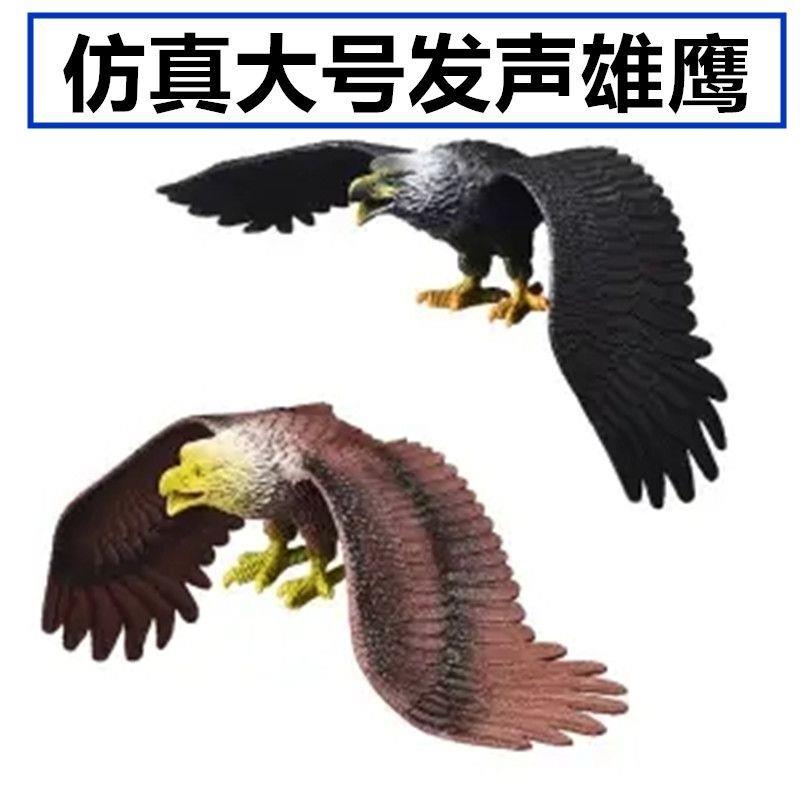果园菜园吓鸟驱鸟大号仿真老鹰模型塑胶仿真动物飞禽玩具儿童认知