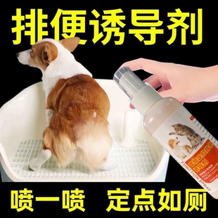 狗狗厕所诱导剂定点大小便排便尿尿拉屎引导剂训练诱便生活用品