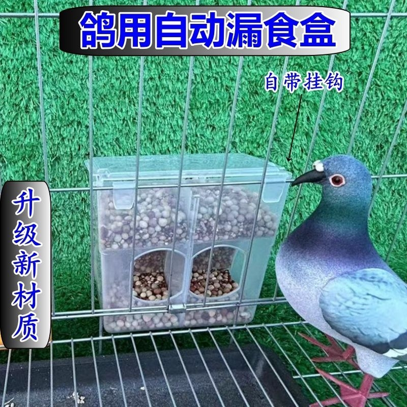 鸽子自动食槽喂食下料器鸽子笼用品用具肉鸽种鸽防撒食盒信鸽用品