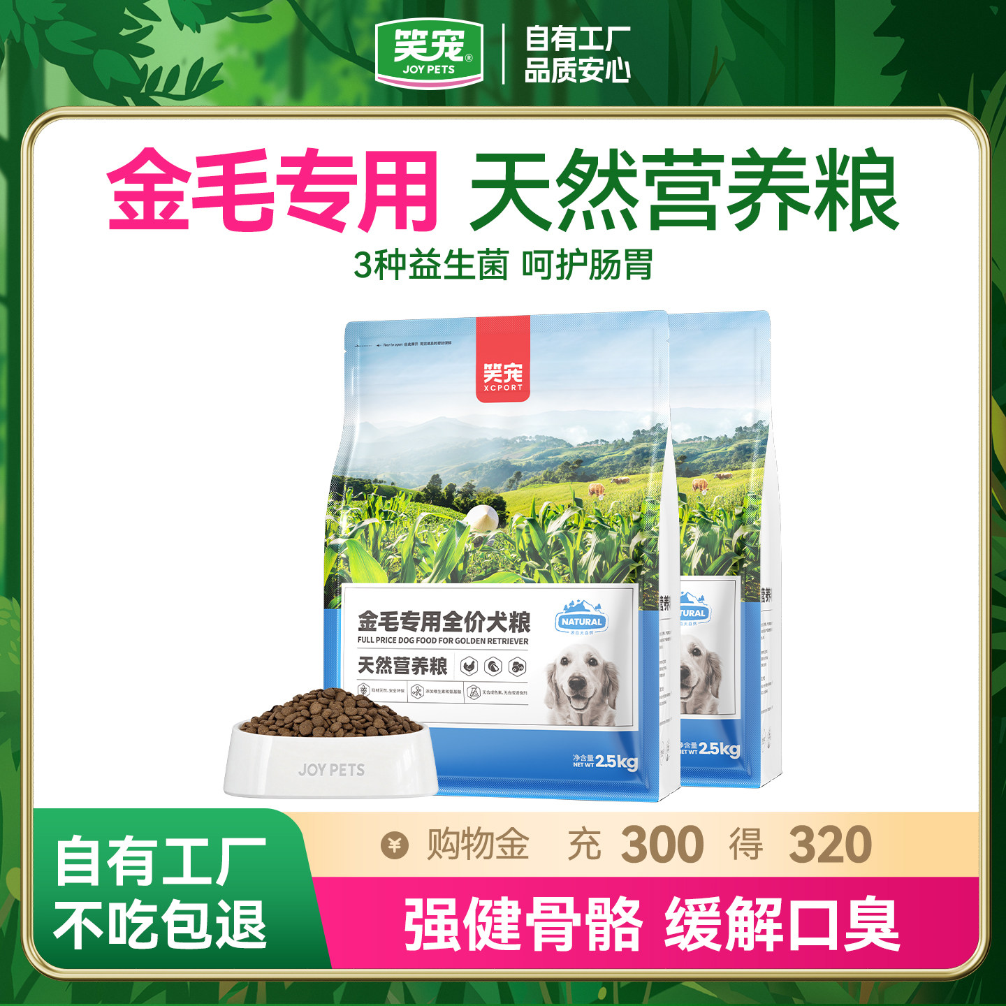专用中大型犬奶糕金毛幼犬图片