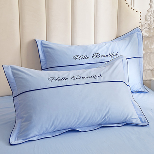 长绒棉春秋被单子床罩裙款y四件套全棉网红女生公主风韩式