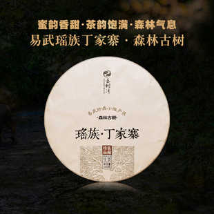 【新品】2024春易武森林古树丁家寨瑶寨普洱生茶100g饼