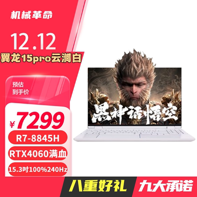MECHREVO/机械革命 翼龙 翼龙15Pro 240Hz RTX4060锐龙R7游戏本