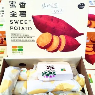 田野计划蜜香金薯红薯粗粮生蜜薯香甜糯新鲜番薯山芋蒸煮黄心地瓜