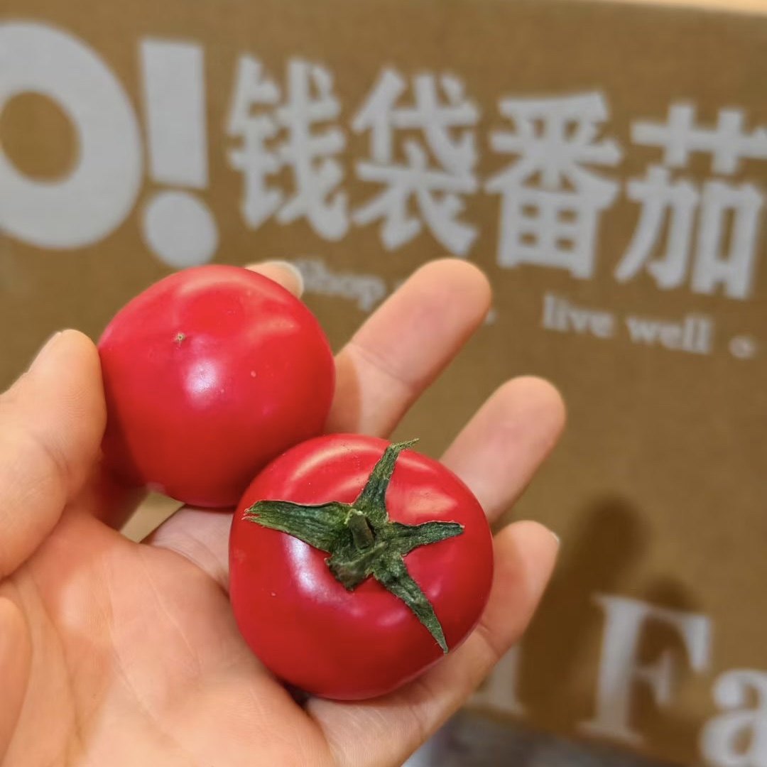 钱袋番茄高糖水果西红柿原种引进甜生吃小柿子味浓自然熟京东快递,水产肉类/新鲜蔬果/熟食,番茄,淘宝优惠券,粉丝福利购,淘宝优惠卷