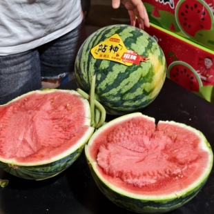 招牌站神麒麟西瓜战神无籽大西瓜当季新鲜水果皮薄脆爽甜多汁红壤