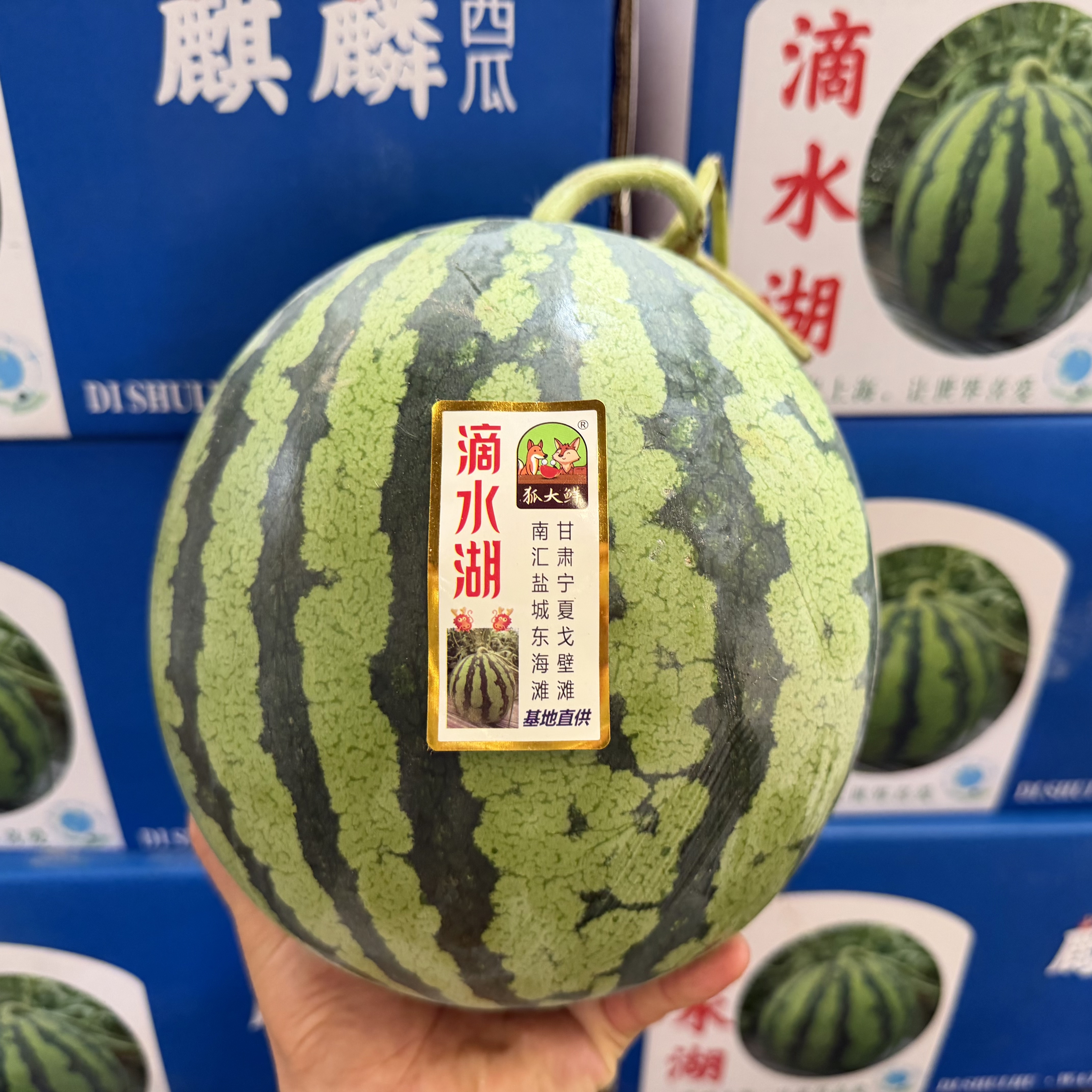 滴水湖无籽麒麟西瓜皮薄脆甜多汁