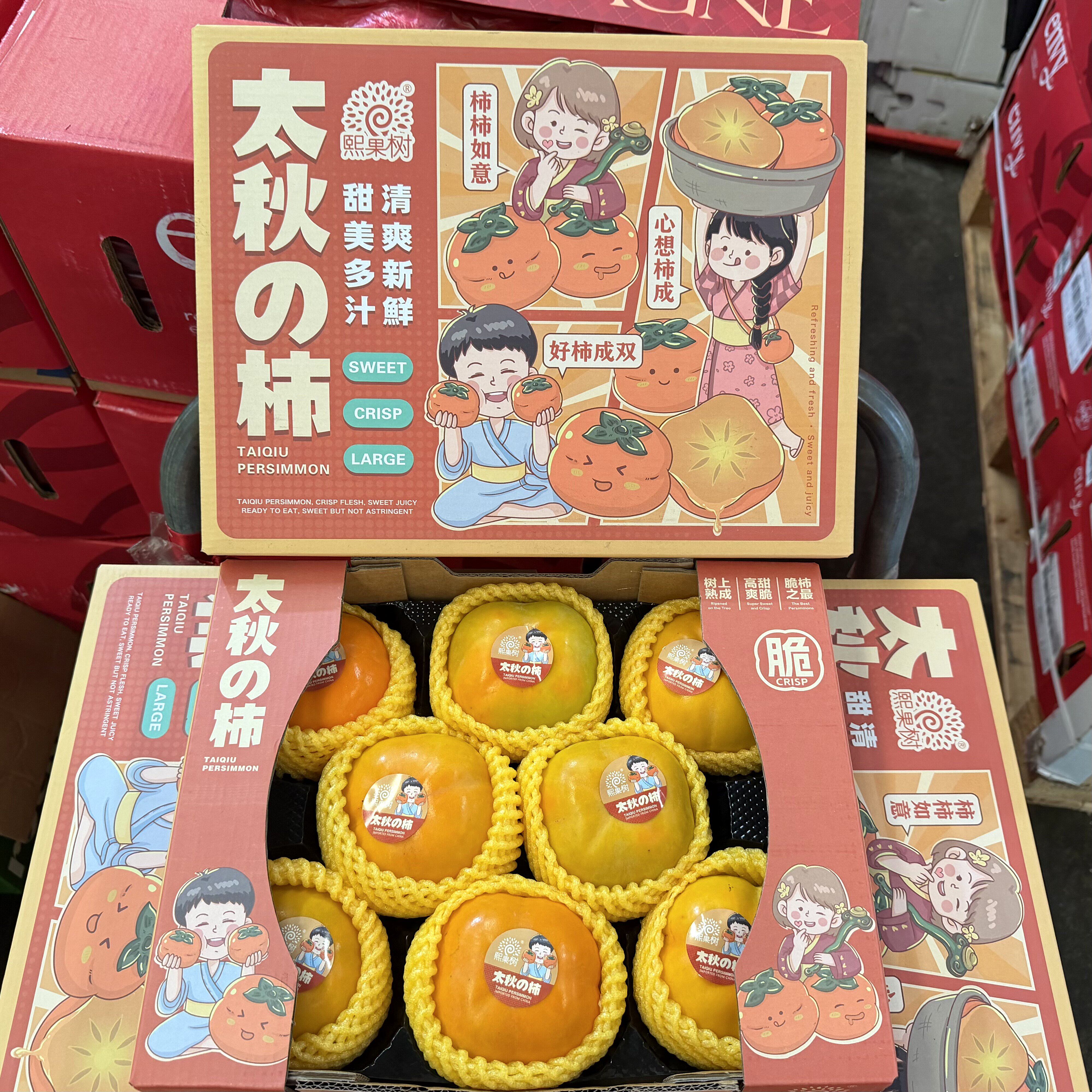 熙果树太秋脆柿礼盒8颗脆柿富有甜脆柿当季新鲜水果糖心柿不涩口