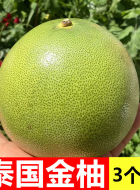 正宗泰国金柚3个装大果泰国柚子青柚蜜柚ick泰柚新鲜孕妇水果甜嫩