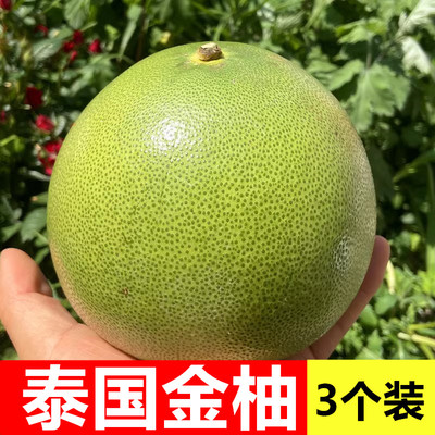 泰国金柚蜜柚甜嫩多汁3个装