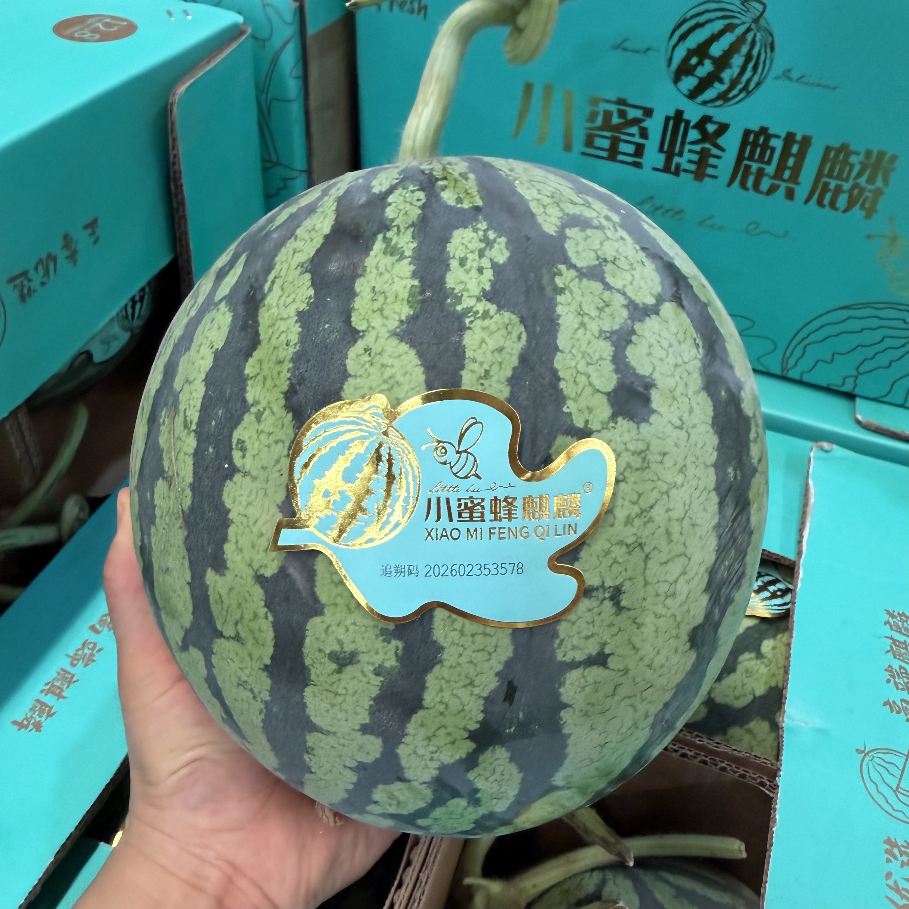 小蜜蜂无籽麒麟西瓜皮薄脆甜多汁
