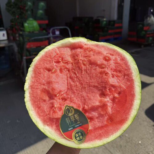 翡翠蒂璀璨无籽麒麟西瓜脆甜多汁