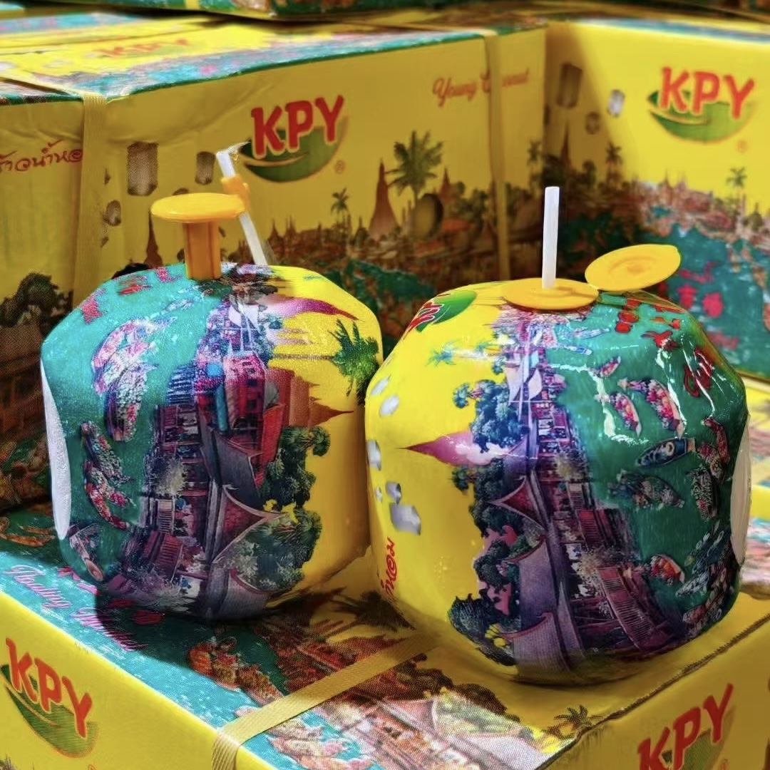 泰国进口KPY椰子6个装