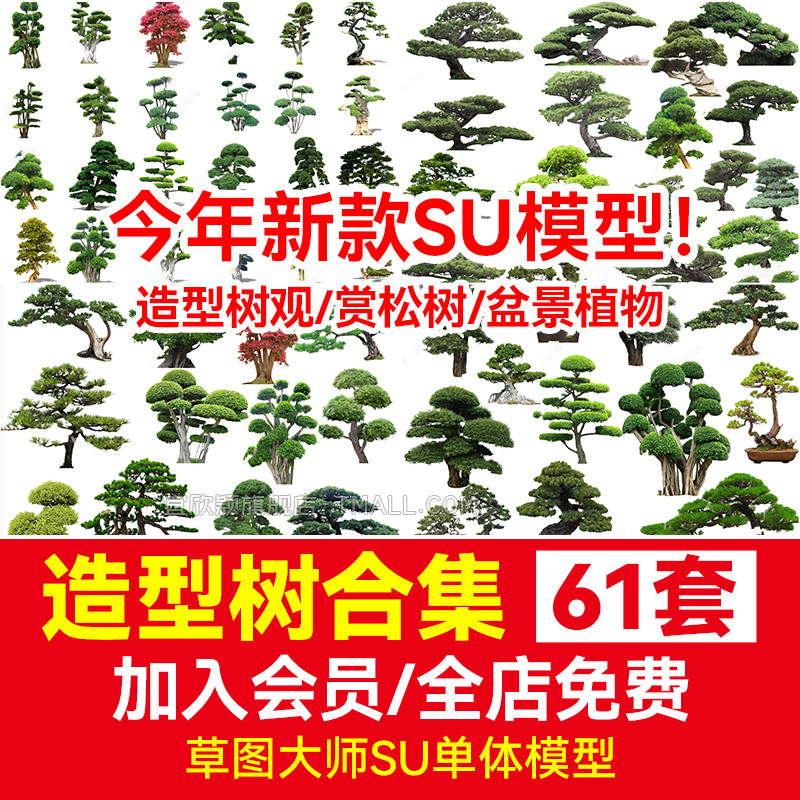 修剪造型树观赏松树盆景中式庭院花园景观植物草图大师SU模型素材
