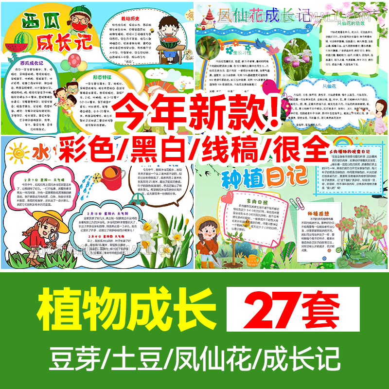 植物生长手抄报模板小学生小报素材黄豆芽观察日记电子版卡通word