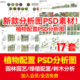 植物配置分析图PSD分层绿植种植被景观环艺搭配园林设计PS素材