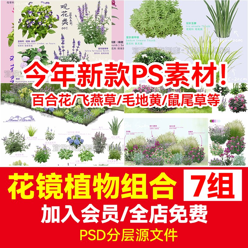 PS花镜花境灌木花丛组团