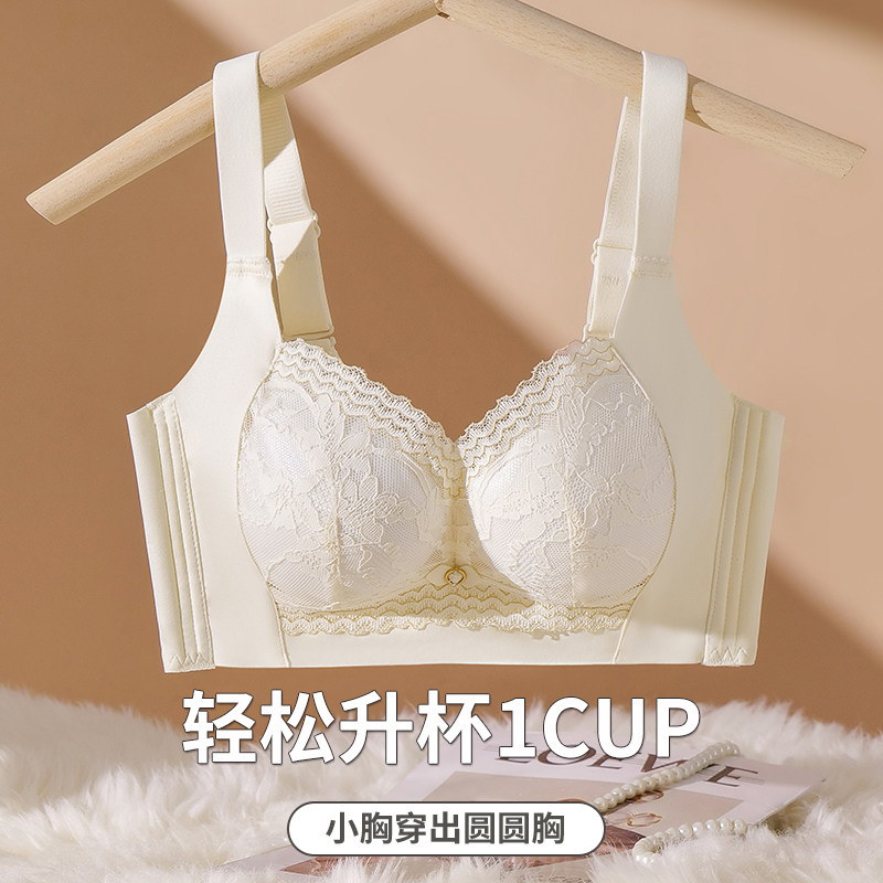 加厚2.5cm小胸聚拢显大平胸专用