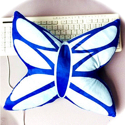 Peluche manga en peluche Zhuang Kun - Ref 2696154 Image 1