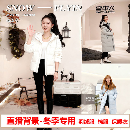 品迪3d立体羽绒服装直播背景布