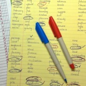 画重点 1.0mm老师批改作业红水笔学生画重点标记笔签字笔 雄狮88签字笔 就这两个颜色就够了 小红书同款