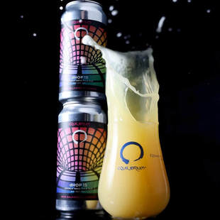 特价 稳态干投酒花15号 帝国IPA 进口精酿啤酒